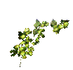 HopVineCenter-Smaller
