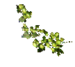 HopVineCenter-Smaller