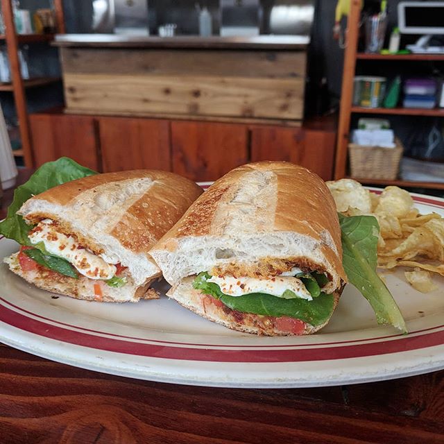 Today's special is a Caprese Sandwich with Melted Mozzarella, Tomatoes, Spring Greens and Sun-dried Tomato Pesto! #foodie #caprese #greeley #brewery #colorado #craftbeer #tomato